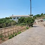 Daire Christine's House Zakintos